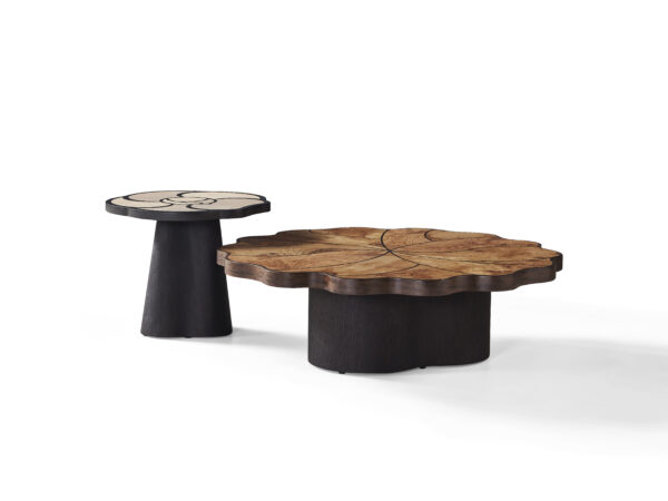 Lianye Coffee Table