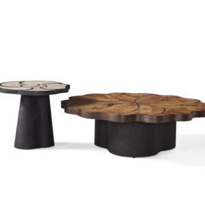 Lianye Coffee Table - Image 3